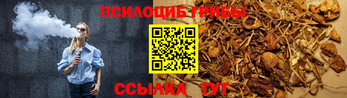 Моздок  Псилоцибиновые грибы Cubensis  Вход с VPN 