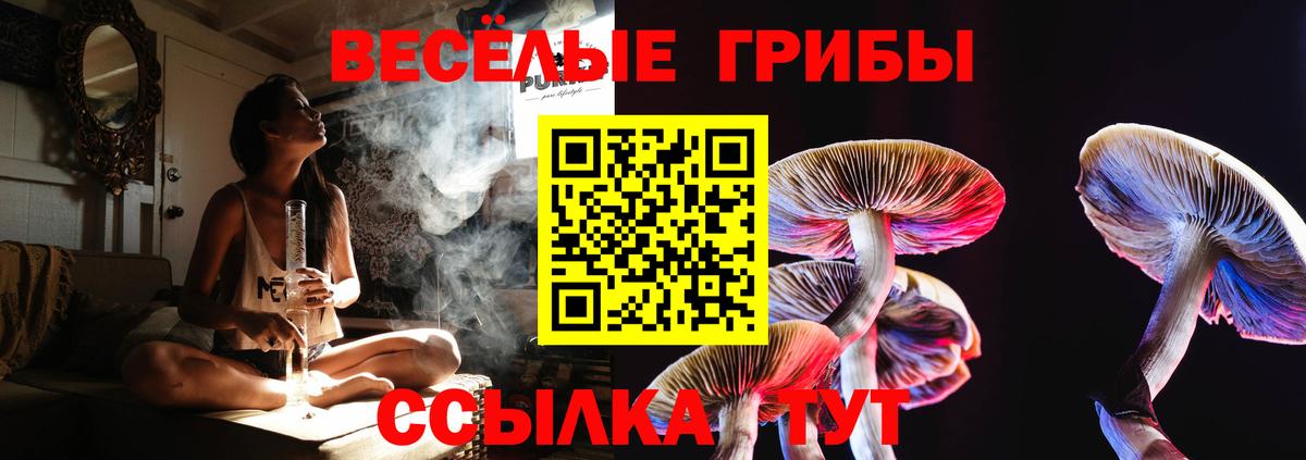 Псилоцибиновые грибы Psilocybe Моздок